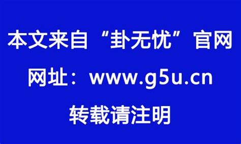 82属什么|82年属什么生肖 1982年与什么生肖合作最佳